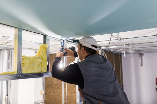 Best Crawl Space Insulation  in La Cresta, CA