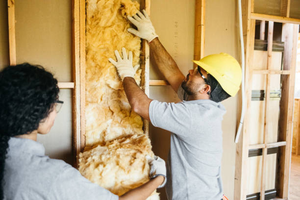 Eco-Friendly or Green Insulation Solutions in La Cresta, CA